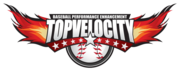 TopVelocity Partners