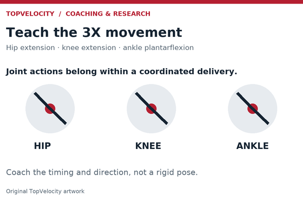 Conceptual joint-action symbols for hip extension, knee extension and ankle plantarflexion within the TopVelocity 3X delivery. Not an anatomical measurement.